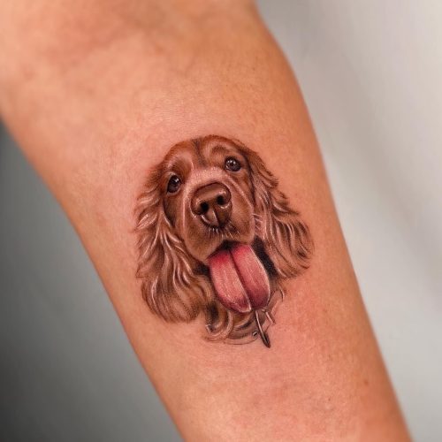 tatuajes de perro Cocker Spaniel realista en brazo