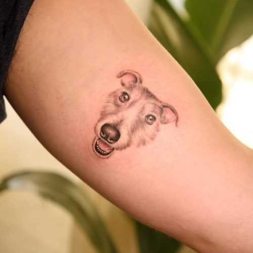 tatuaje en brazo de mascota perro
