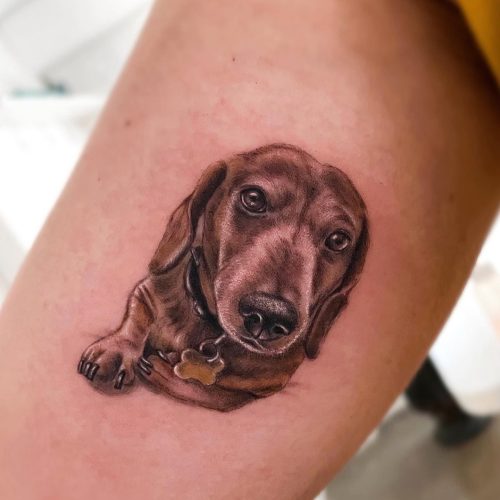 tatuaje retrato de perro salchicha