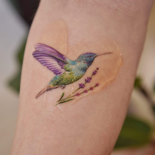 tatuaje en brazo de colibri