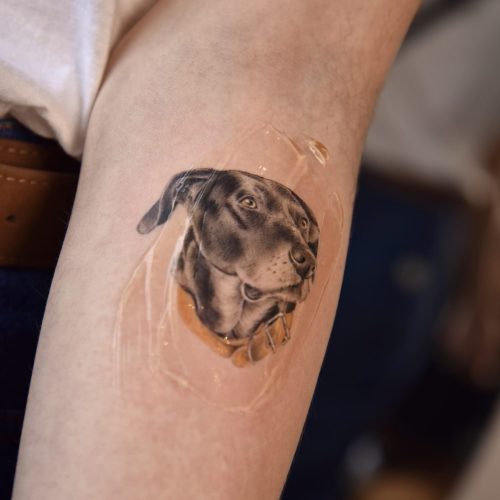 tatuaje en brazo de mascota perro negro