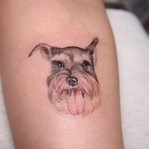 tatuaje de perro Schnauzer realista