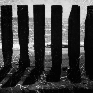 Poesía: Rostros en la Madera