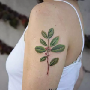 Screenshot 2023-10-06 at 02.55.57